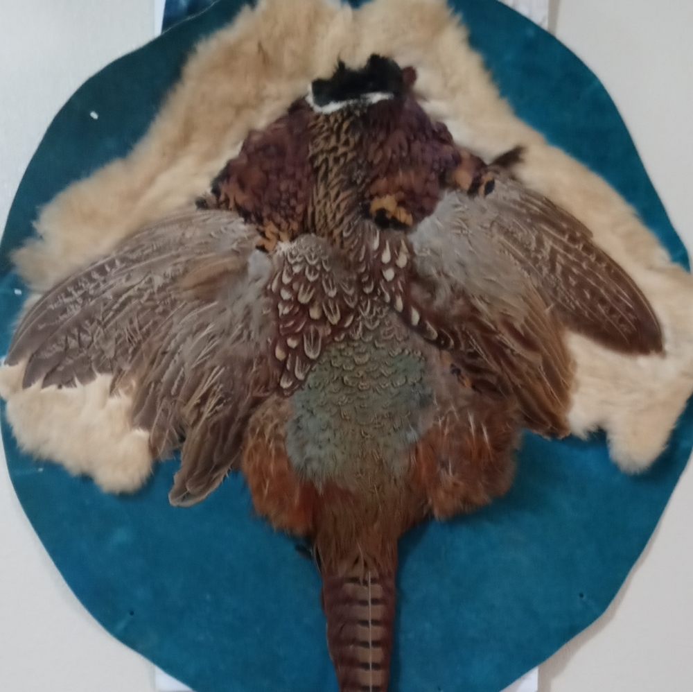 Pheasant   Decoration
